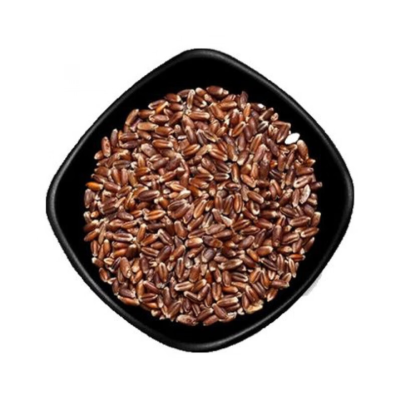 赤卉原种黑小麦种子 农大小麦籽 农家天然富硒黑小麦 有机黑麦 春冬季