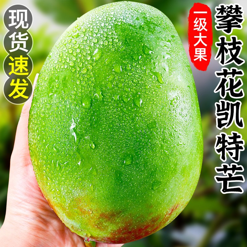 大青皮芒应当季水果热带现摘芒果整箱 3斤 【尝鲜装】小果200g左右 个