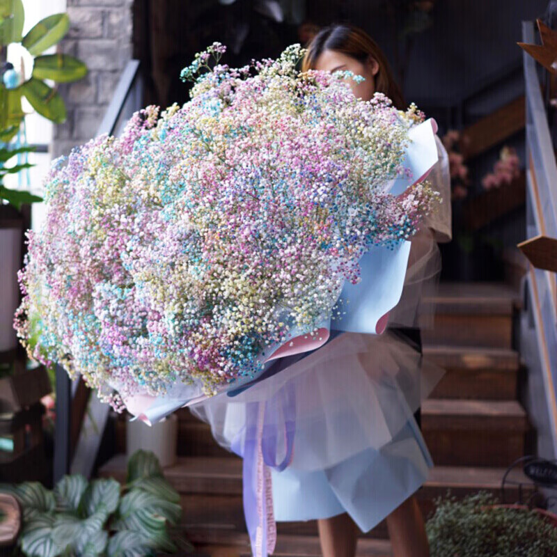 花语雅韵情人节鲜花速递同城配送彩色满天星熊抱花束生日结婚纪念日