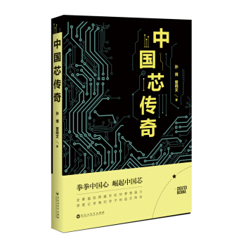 中国芯传奇 zdj 湖北新华书店正版 百花洲文艺出版社