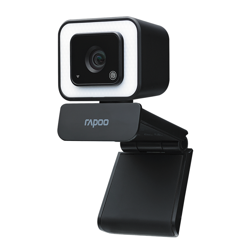 雷柏（Rapoo） C270L 高清网络摄像头 电脑1080P自动对焦 LED补光 降噪麦克风 105°大广角 兼容多直播平台