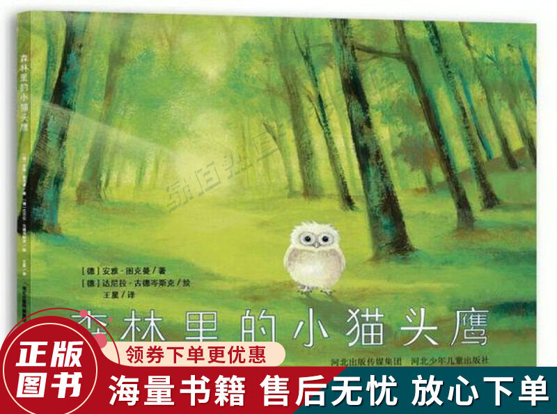 森林里的小猫头鹰