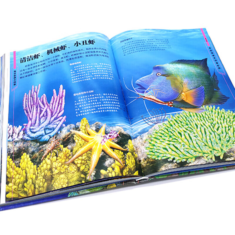 海洋世界大百科 李林春 青少年科普百科大全书 自然海底世界博物大全 儿童海洋世界自然科学生物科普书 少儿探秘海底动物
