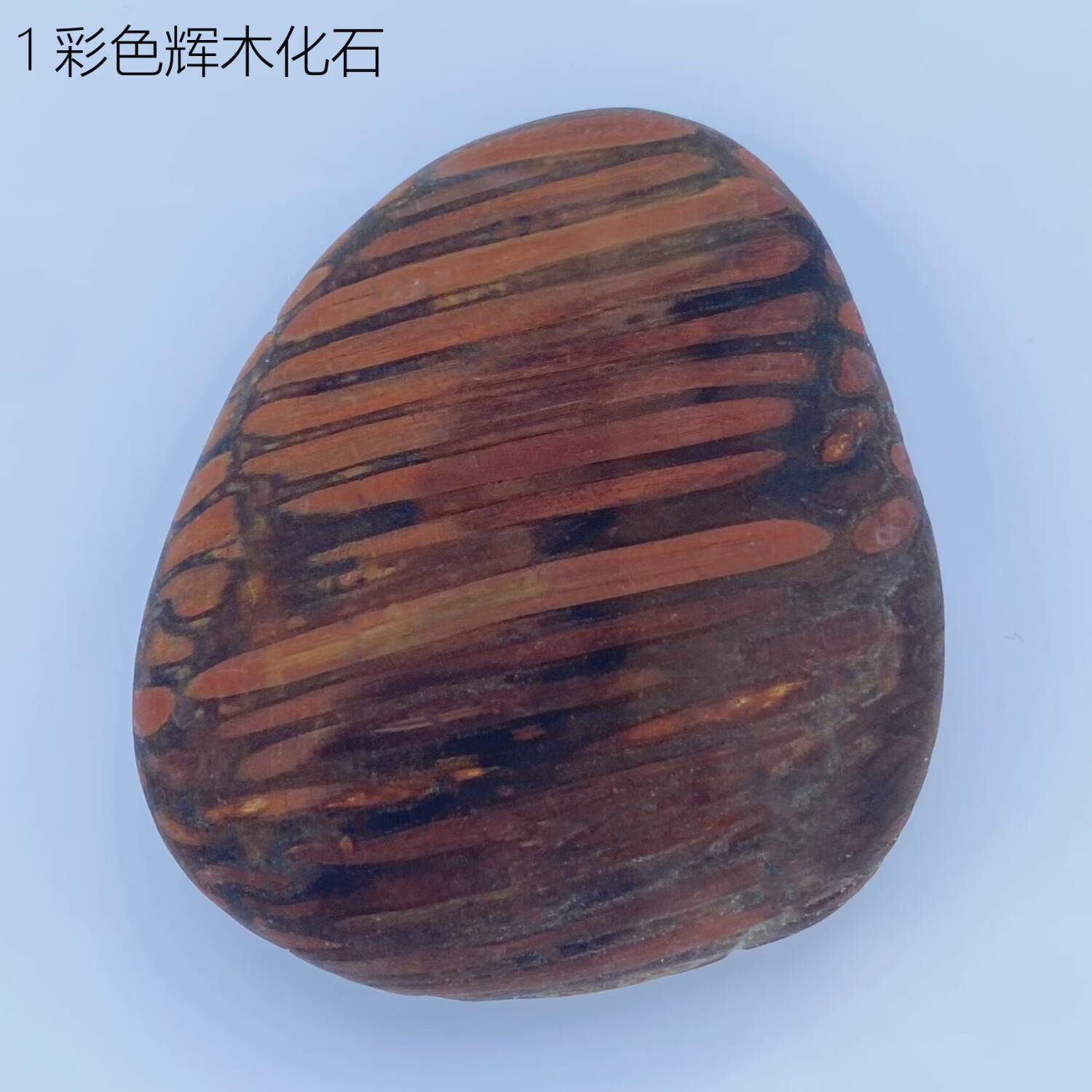 彩色輝木化石南京雨花石六合產(chǎn)地直銷瑪瑙觀賞石文石收藏必備 1 顆