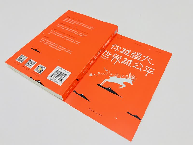 你越强大，世界越公平详情图