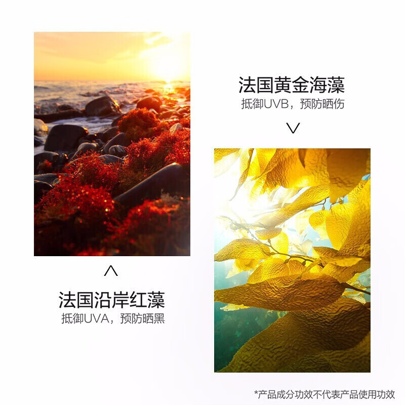 珀莱雅618 防晒霜遮瑕隔离BB霜帆船高倍防晒防水防汗户外礼物送女友 海洋柔皙莹白修颜霜*1