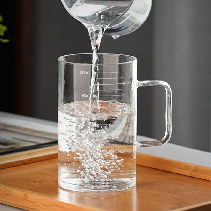 yumsir单层玻璃杯带盖带手柄加厚超大号水杯1000ml凉白开水杯泡花茶杯