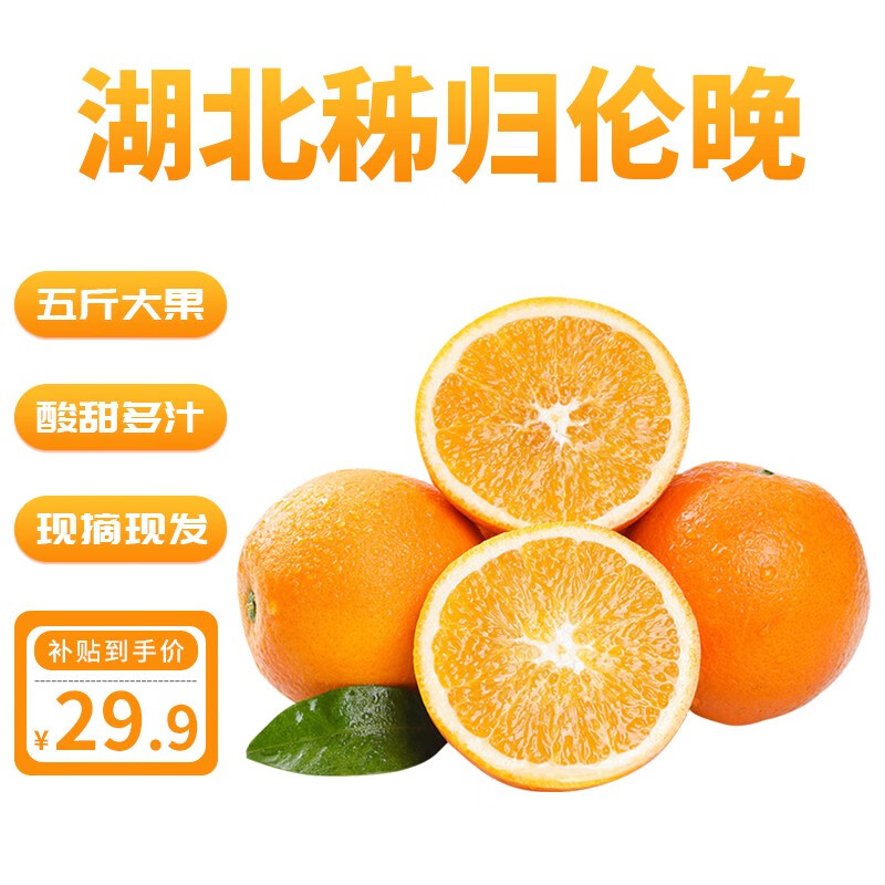 橙子历史价格查询网址|橙子价格走势图