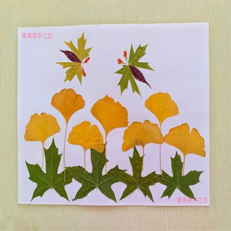 创京懿选手工树叶贴画制作简单漂亮树叶贴画创意手工制作真树叶手工