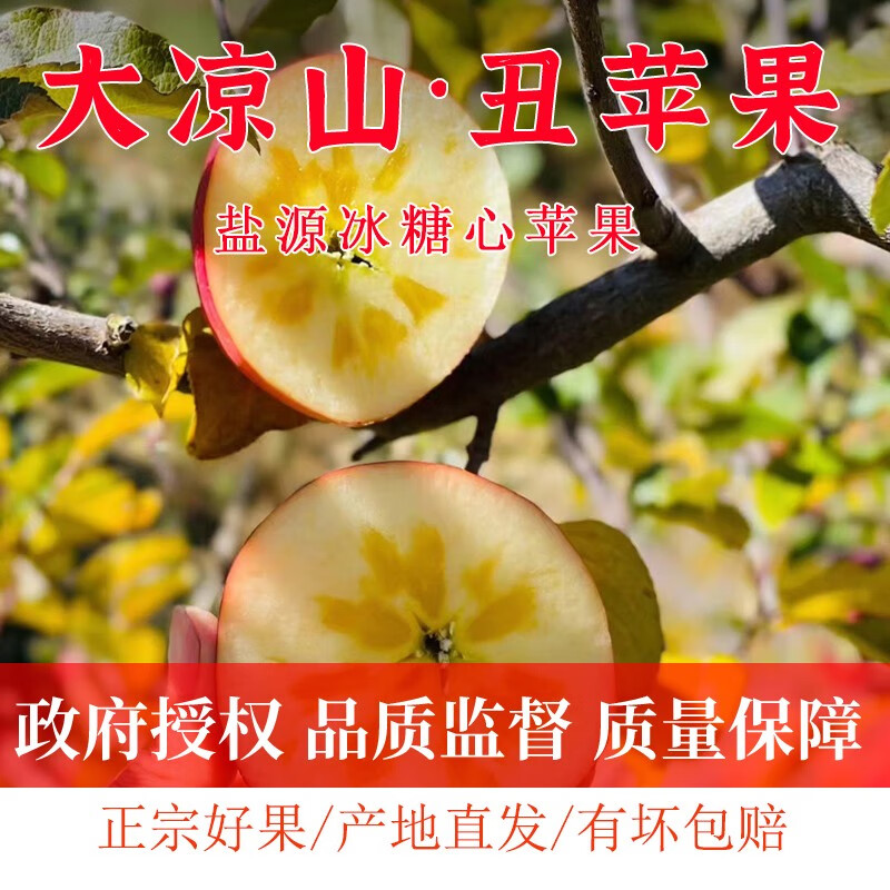 【盐源助农馆】盐源苹果高山老树果大凉山丑苹果2025水果礼盒 礼盒15枚至尊果90mm+ 净重8.5斤+