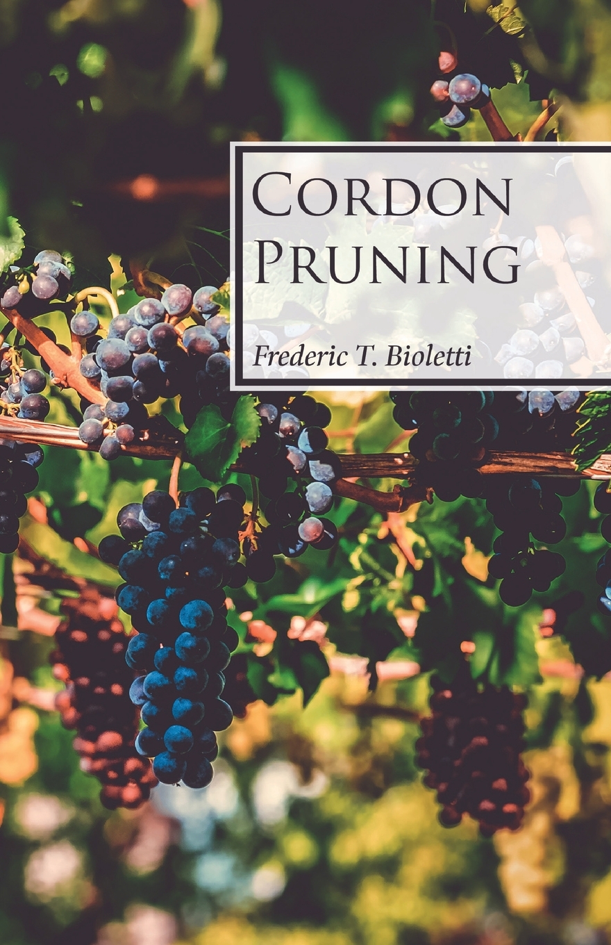 预售 按需印刷 cordon pruning