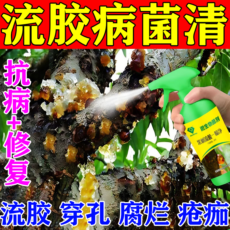 果树流胶病专用流胶净桃树杏树李树樱桃树腐烂流胶病杀菌剂 1瓶【100