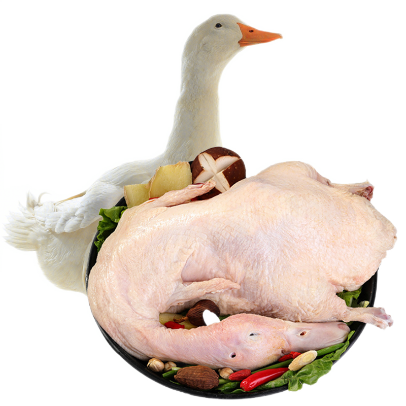 海龙康【送1只 实发2只】 农家散养鸭子嫩鸭新鲜宰杀新鲜大白条土鸭子