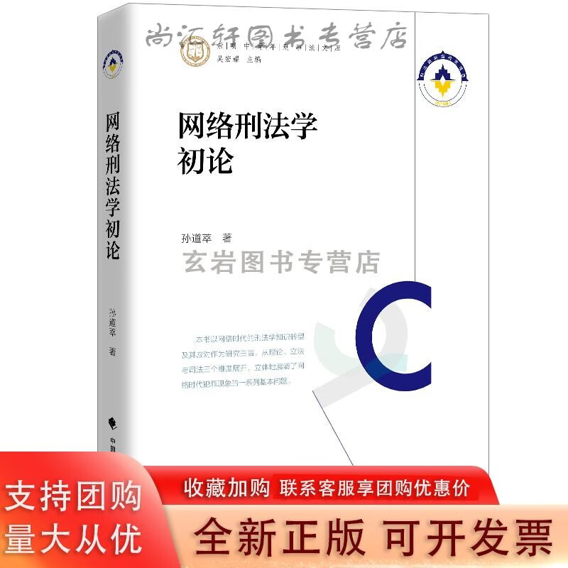 网络刑法学初论