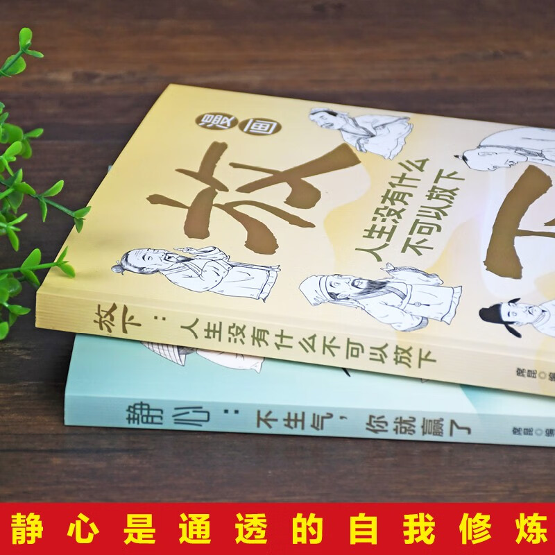 放下：人生没有什么不可以放下+静心：不生气，你就赢了（漫画版全2册）漫画图解受益一生的人生智慧详情图
