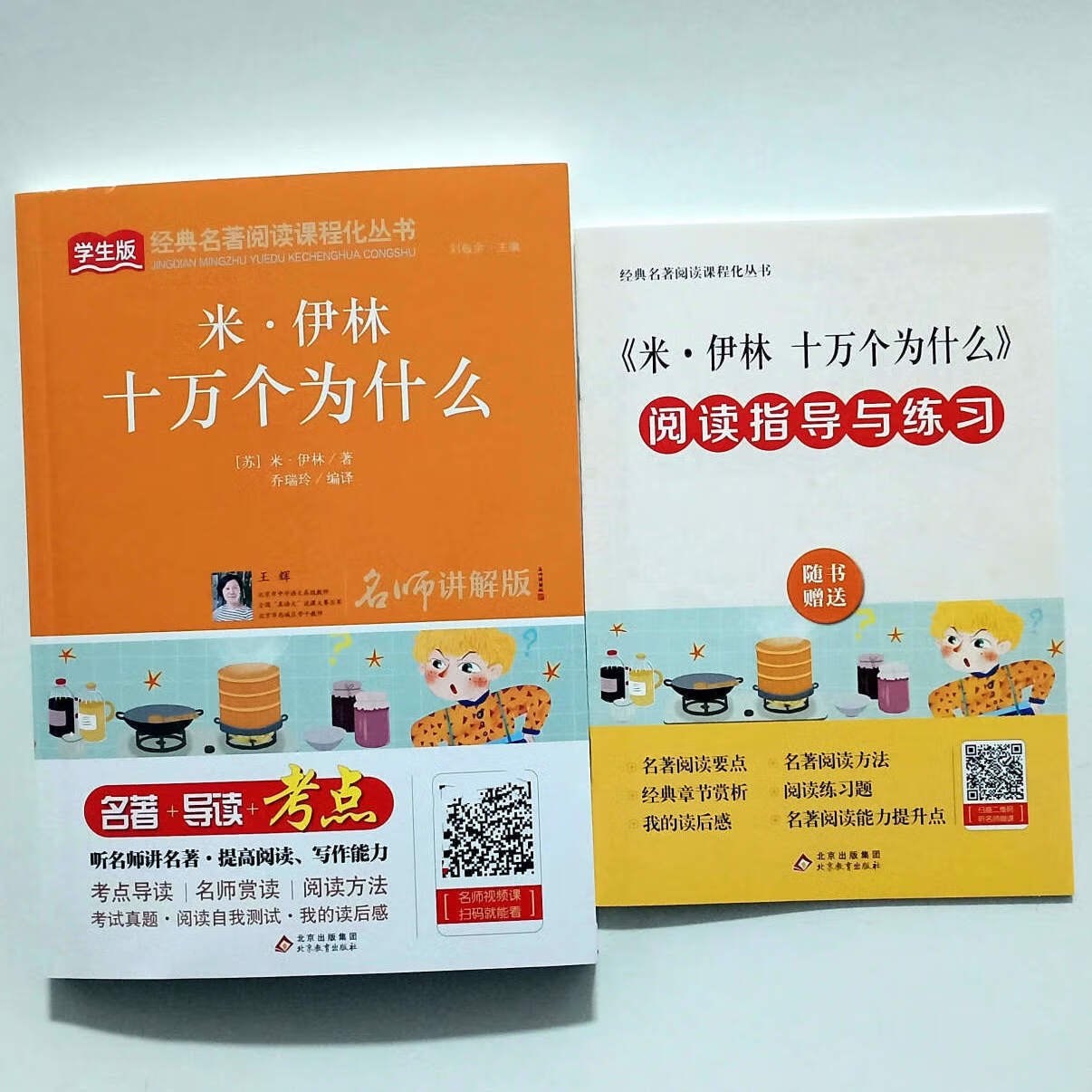 伊琳十万个为什么/名师讲解版/名著 导读 考点 米伊林十万个为什么
