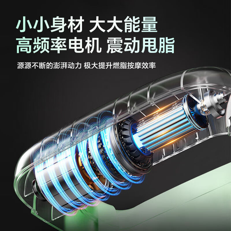 DYMIROY 戴觅甩脂机筋膜环枪瘦肚子燃脂瘦身神器按摩器腹部减肥揉腹仪全身腰部懒人腰带高频振动抖抖机肌肉放松 樱花粉【顶配款】