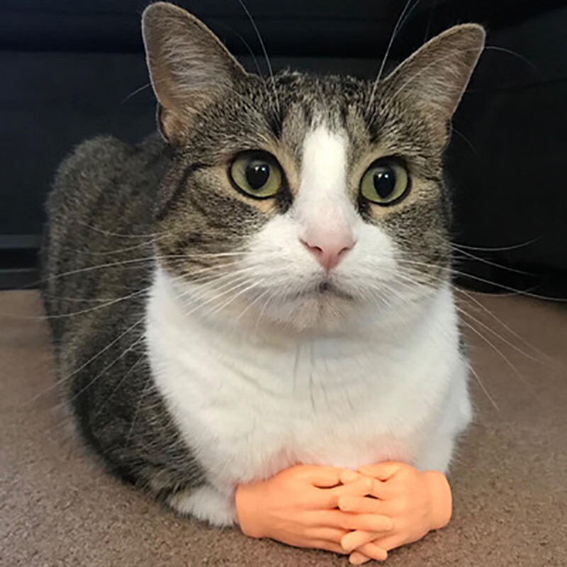 撸猫手指套抖音同款逗猫玩具手套小手手指套手掌抖音迷你逗猫玩具软胶