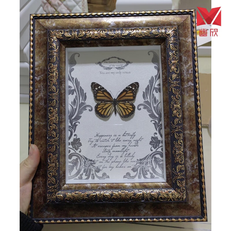 世界珍惜蝴蝶大蓝闪天堂风玫瑰眼蝶昆虫标本稀有蝴蝶收藏 君主斑蝶