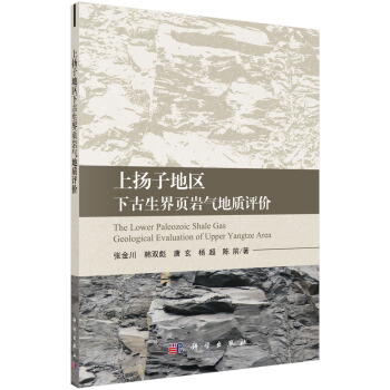 晶体生长中输运现象及晶体缺陷【正版图书】