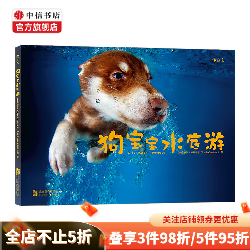狗宝宝水底游