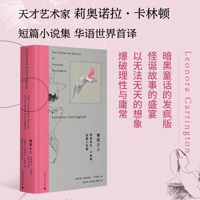 椭圆女士(莉奥诺拉·卡林顿短篇小说集)高性价比高么?
