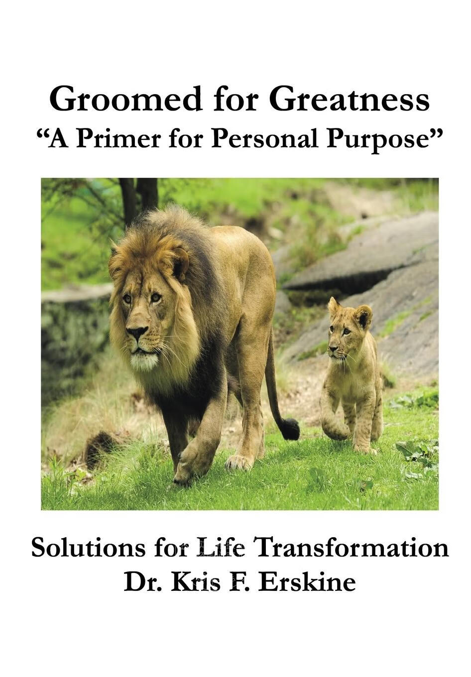 【2周达】预售 按需印刷 groomed for greatness