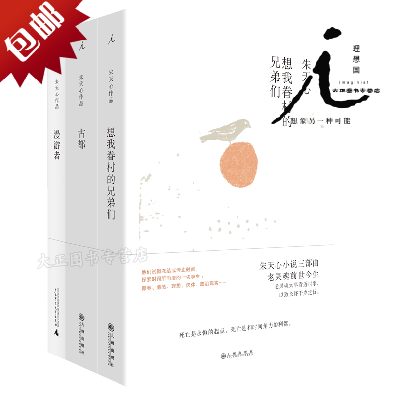 朱天心小说三部曲:漫游者+古都+想我眷村