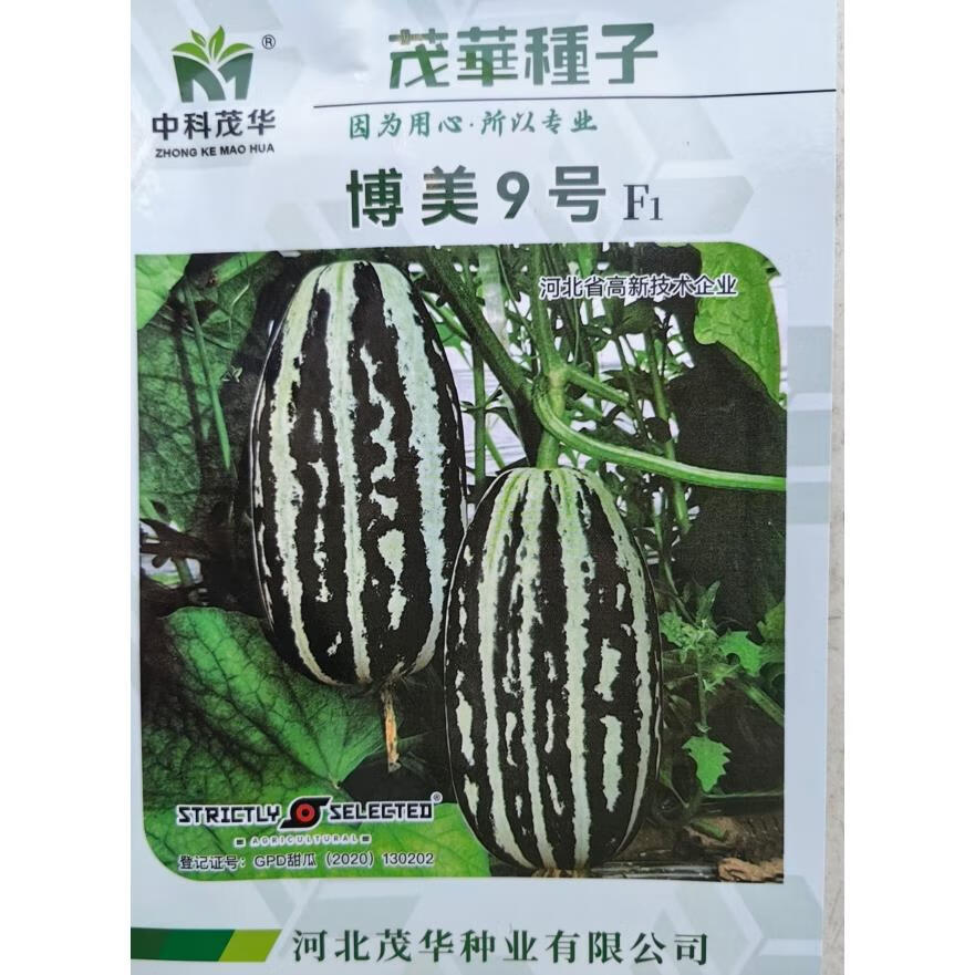 天津德瑞特博洋9号甜瓜种子 博洋61芝麻蜜种子羊角蜜脆甜瓜种子籽 20