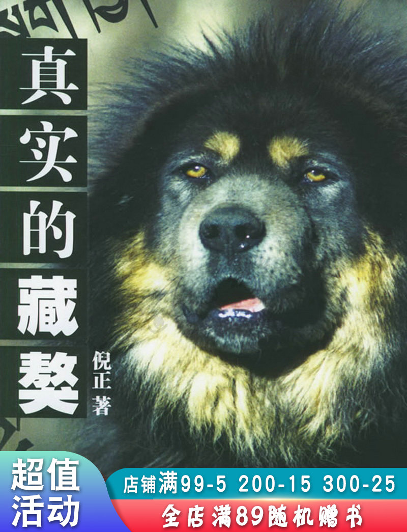 真实的藏獒【现货速发,可开电子发票】