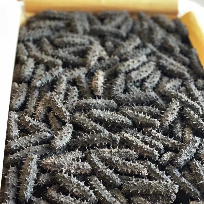 百里小店 大连海参干货六排刺海产干货