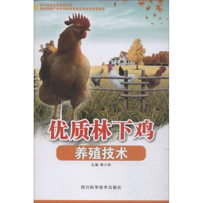 优质林下鸡养殖技术