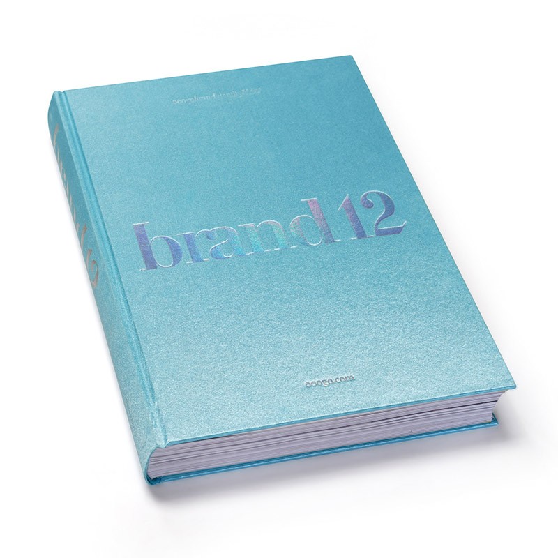Brand VOL.12 品牌的诞生 第十二卷品牌视觉设计年鉴 数百件年度品牌创作作品集 视觉设计案例CI VI包装标志字体平面设计书籍预售