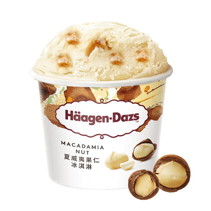 Häagen·Dazs 哈根达斯 夏威夷果仁冰淇淋 81g