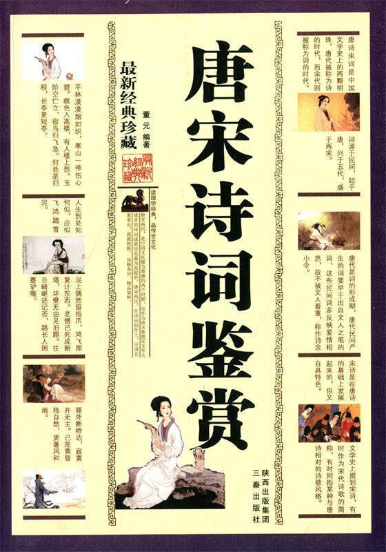 唐宋诗词鉴赏 董元【正版】