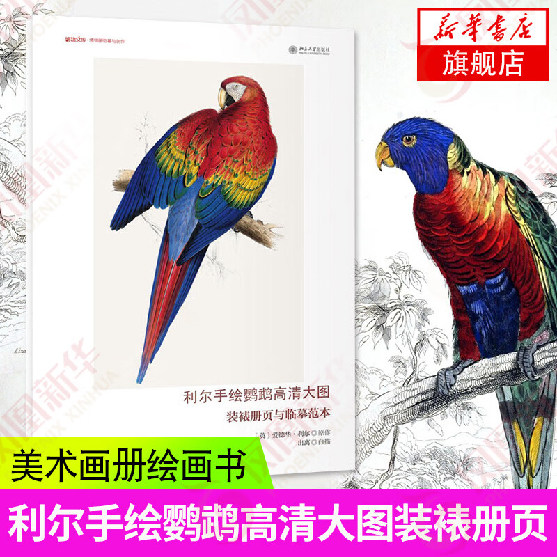 鹦鹉高清大图装裱册页与临摹范本 画册手画本书临摹速写入门 素描入门