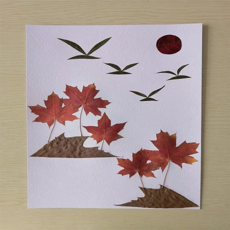 跨店299-50树叶 粘贴画幼儿小学生树叶粘贴画真树落叶秋叶diy手工制作