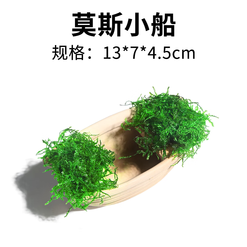 CRAZY PLANT莫斯水草活体鱼缸造景套餐草缸懒人水培冒泡珊瑚慕斯阴性真草植物 莫斯小船