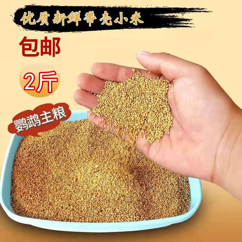 上手点评天香赞鸟粮怎么样好不好？入手半个月经验分享