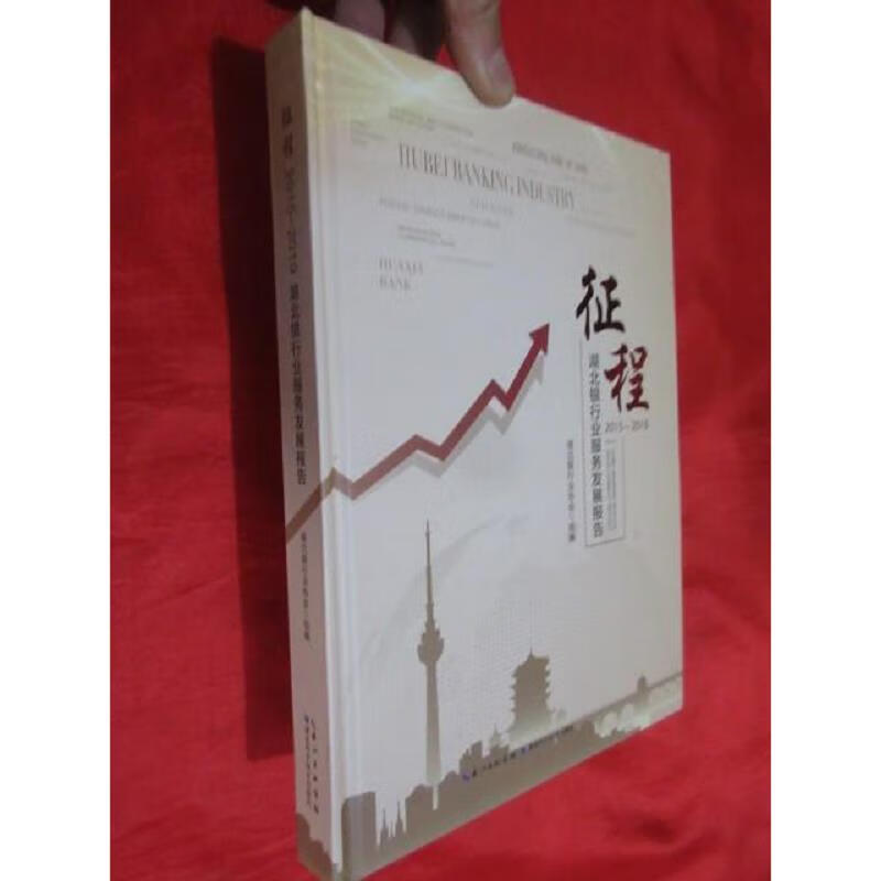 征程：湖北银行业服务发展报告(2012-2019) 16开,精装