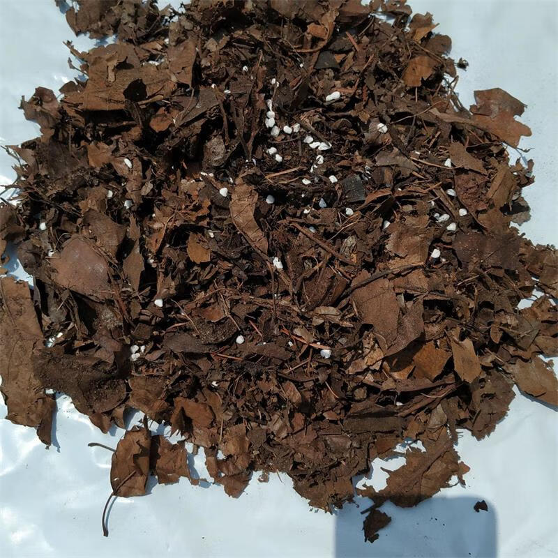 赤凰腐熟橡树叶腐叶土君子兰专用营养土酸性腐殖土有机松针土茶花土
