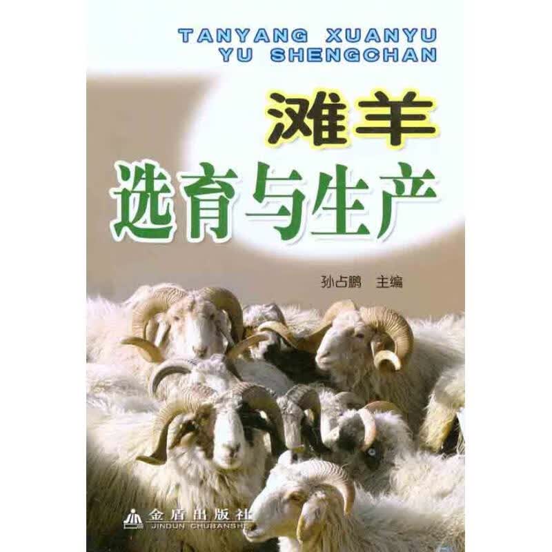 滩羊选育与生产