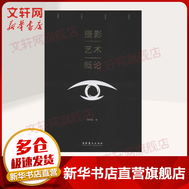 摄影艺术概论 李树峰 摄影基础知识理论书籍  文化艺术出版社