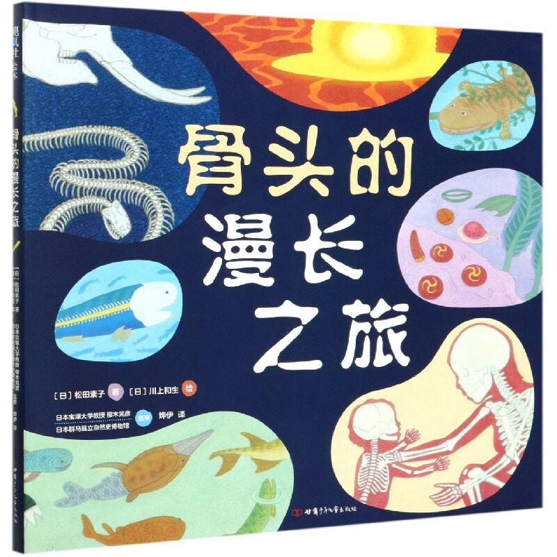 骨头的漫长之旅(精)