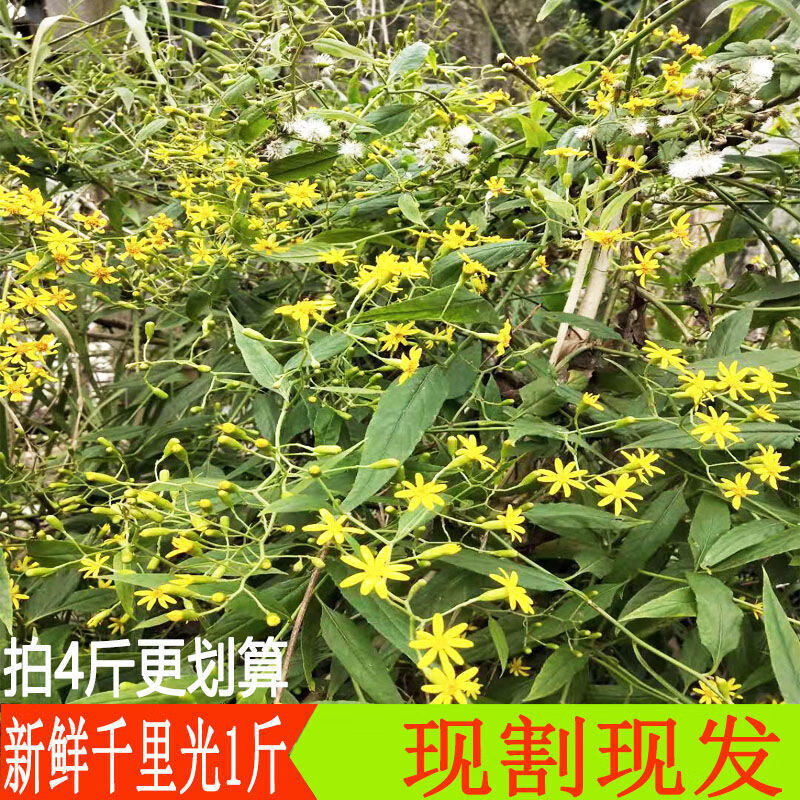 华佗拾遗药食同源干货价格走势稳定,商品质量有保障