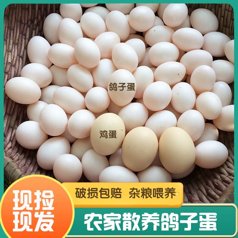 沂鲜新鲜鸽子蛋正宗五谷杂粮散养信鸽蛋30枚孕妇宝宝农家初生蛋礼盒装 鸽子蛋30枚