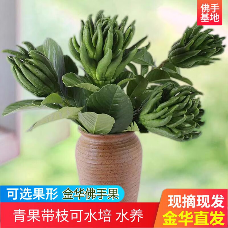 更多水果历史价格走势|更多水果价格走势图