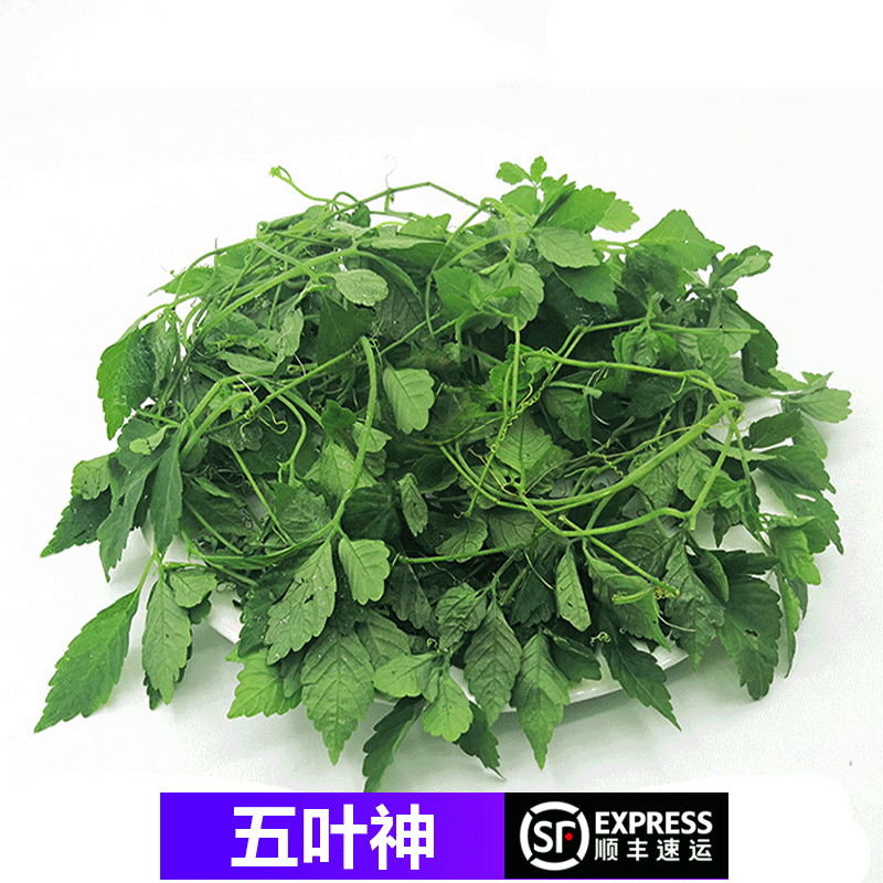 桃李村【顺丰】五叶神新鲜蔬菜 绞股蓝 七叶胆 福音草 煲汤食材 500g