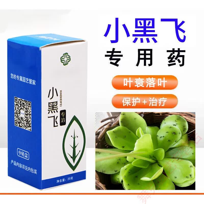园老师专灭花盆小黑飞杀虫剂花卉植物杀虫剂家用室内小飞虫除虫剂 20g