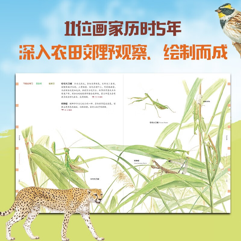 给孩子的自然图鉴（套装共2册）【7-10岁】 儿童科普 详情图